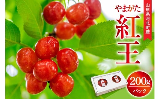 【令和8年産】さくらんぼ やまがた紅王 200g(100g×2パック) 3L玉 秀品 化粧箱入　 山形県河北町産 【山形eLab】　フルーツ 人気 贈答 ふるさと納税 河北町 2026年産 紅王 大粒 ka074-039