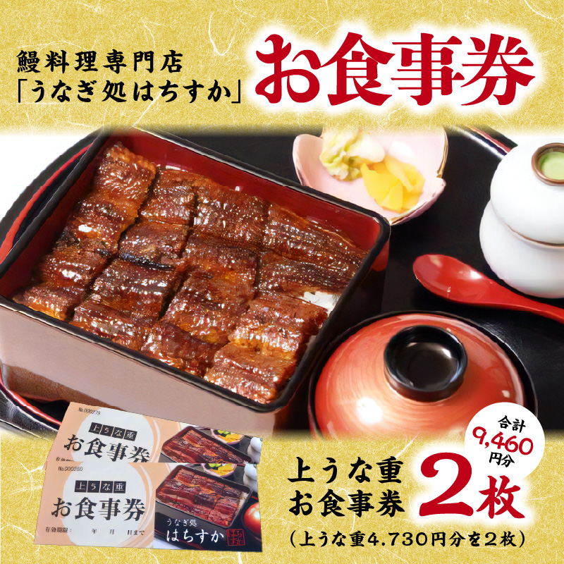 鰻料理専門店「うなぎ処はちすか」お食事券 2枚 9,460円分 国産 日本料理 うなぎ 蒲焼 白焼き 肝 出汁 うな丼 うな重 上うな重 ひつまぶし 食事 券 チケット うなぎ屋　H026-041
