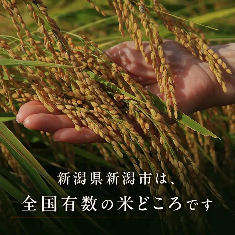 新潟 白米 精米 ブレンド米 5kg 訳あり 新潟県産