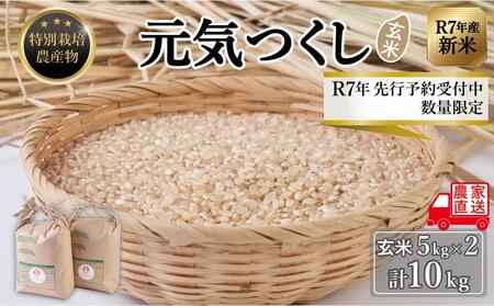 ＜2026年11月以降発送＞【令和8年度新米】先行予約受付 数量限定 玄米(特別栽培農産物)元気つくし 5kg×2袋 (計10kg)