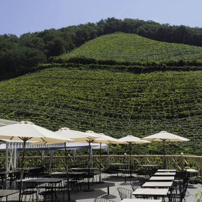 ふるさと納税 足利市 ココワイン6本セット |  | 02