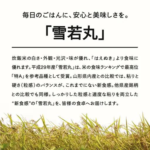 【先行予約】＜新米＞ 雪若丸 精米 20kg 3月上旬~3月中旬発送 国産 お米 山形県産 山形産  おすすめ 令和8年産 2026年産 沖縄・離島への配送不可 コメ こめ はくまい 白米 米 tf-