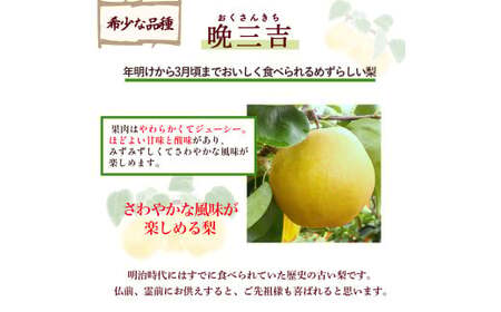 【訳あり】【期間限定】令和8年産 希少梨 晩三吉 5kg（5～12玉） 倉吉産 福井果樹園 梨 ブランド梨 冬梨 希少品種 果物 フルーツ 和梨 数量限定