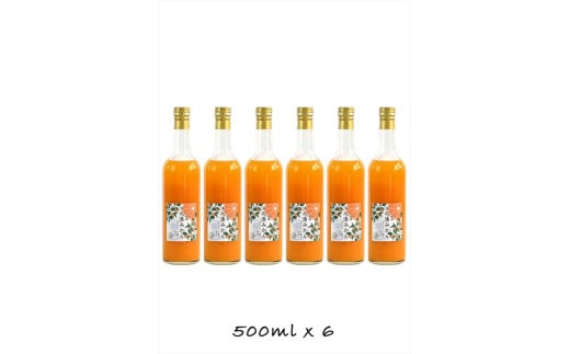 定期便 6回 小田原産江之浦みかん１００％ストレートジュース５００ml６本