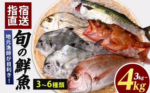 
                  【鮮魚】【指宿産直便】漁師が選ぶ季節の鮮魚便3〜4kg(指宿山川水産/IB035-022) 鹿児島 魚 鮮魚 魚介 旬 お刺身 お寿司 煮付 料理 国産
                