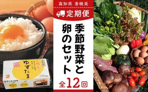 【野菜定期便全12回お届けコース】高知県産　南国土佐の季節野菜と卵（ゆずたま）の詰め合わせセット【新鮮野菜セット卵付き】【セット 詰め合わせ 旬 たまご 卵 柚子  人気 高知県 南国市】