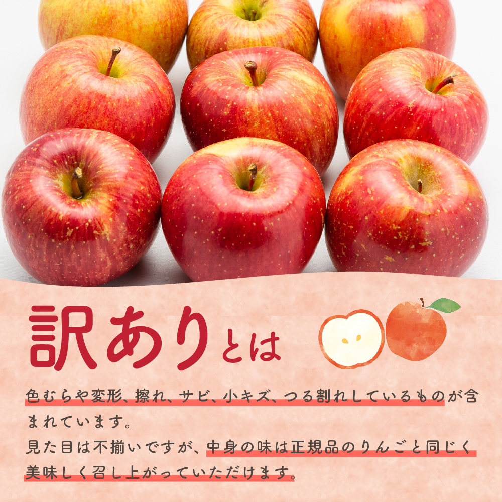 【2026年6月下旬発送】【訳あり】りんご15kg有袋ふじ【スマートフレッシュTM貯蔵またはCA貯蔵・クール便】