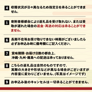 いちご  2種 400g入り 1~5月お届け フルーツ 果物 苺 イチゴ 