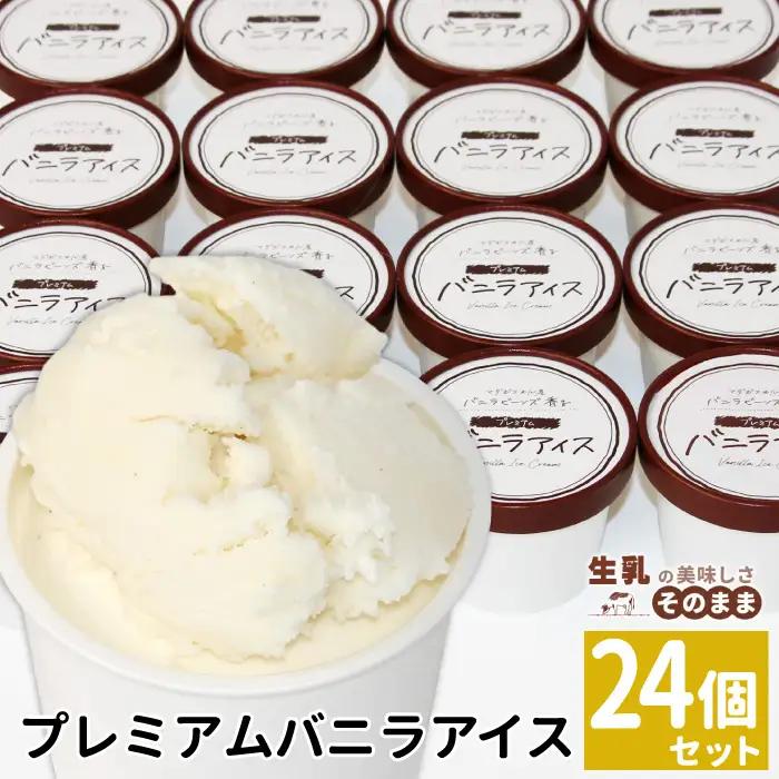 2026年7月1日～寄付金額変更★〈スピード発送〉マダガスカル産 バニラビーンズ香る バニラアイスクリーム 24個 80ml 生乳 牛乳 ミルク スイーツ アイスクリーム バニラビーンズ 12000円 プレミアム バニラアイス デザート