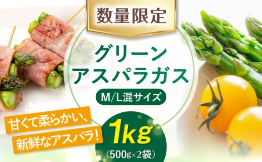【2026年5月中旬以降順次発送】朝どりアスパラ M／L混サイズ 1kg 《喜茂別町》【ニセコビュープラザ直売会協同組合】 アスパラ アスパラガス グリーンアスパラ 冷蔵 冷蔵配送 野菜 春野菜 [AJAH018] 11000 11000円