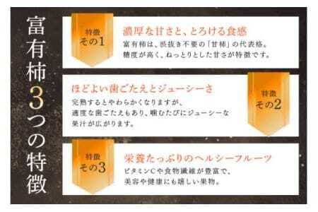 【令和7年分 先行予約】八郷柿出荷組合の 富有柿 2L 28玉 柿 皇室献上柿 かき 富有カキ ( 2段 1箱 ) 果物 フルーツ くだもの カキ 富有かき 秋 旬 高級 糖度 贈答用 贈答品 ギフト