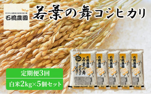 米 若葉の舞 コシヒカリ 白米2Kg×5個セット 定期便3回 こしひかり セット 定期便 お米 白米 精米 千葉 千葉県 低温保存 [№5346-0846]