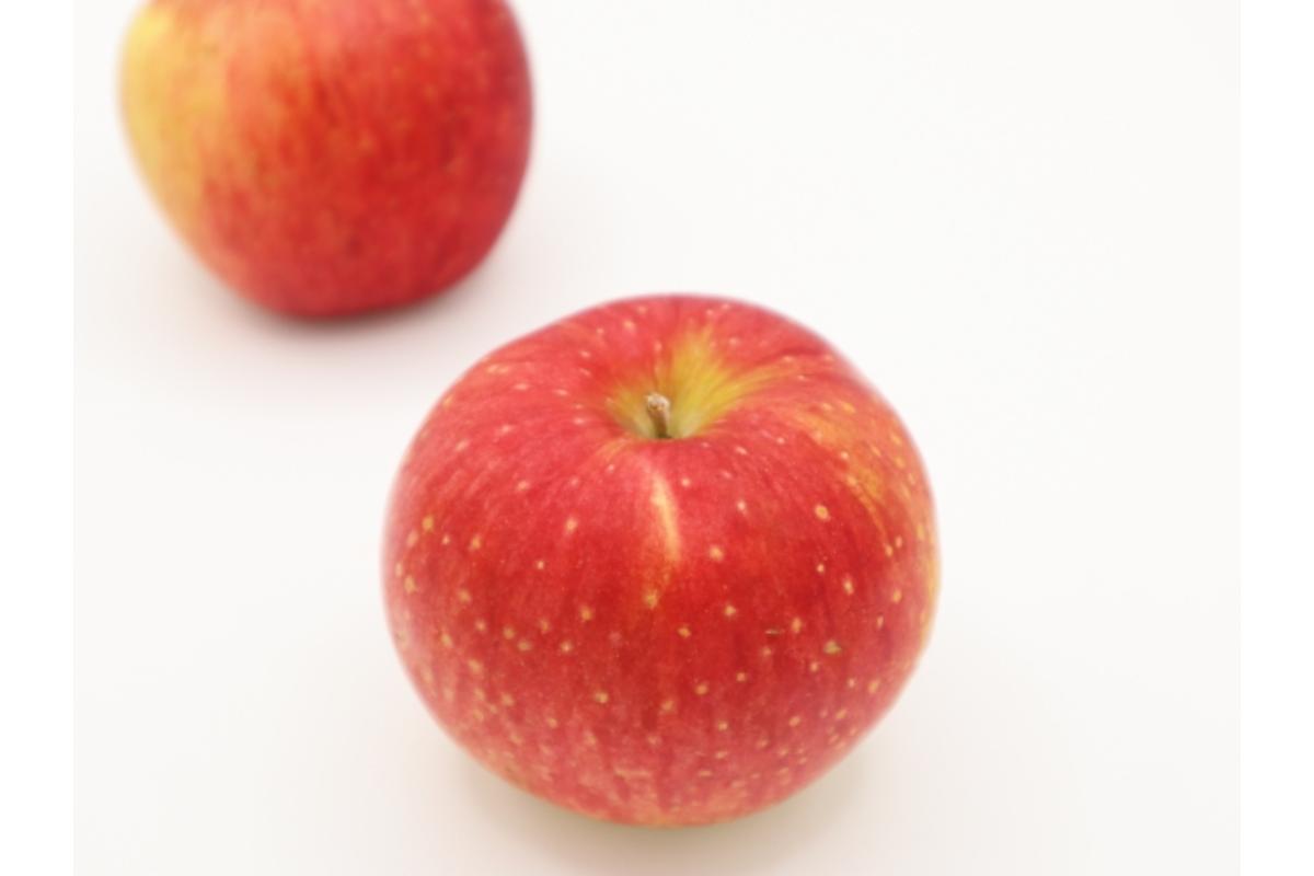 【2026年1月上旬発送】訳ありりんご約3kg（7～12個程度）|おまかせ品種|青森県五所川原市