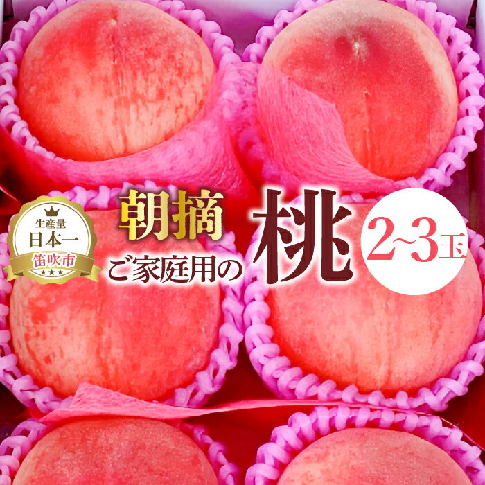 【ふるさと納税】＜25年発送先行予約＞ご家庭用の桃2～3玉 ふるさと納税 もも 桃 笛吹市 国産 人気 期間限定 果物 フルーツ 旬 山梨県 送料無料 111-022