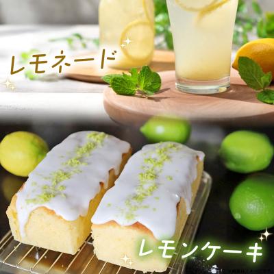 ふるさと納税 西予市 【先行受付】天晴レモン　ご家庭用　約2kg |  | 03