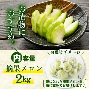 【期間限定・数量限定】鹿児島県志布志産 摘果メロン(子メロン・小メロン) 2kg a0-330