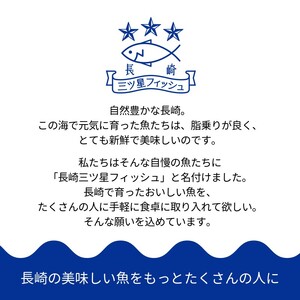 海鮮丼のたれ付！長崎県産本まぐろ＆ハーブ仕立ての真鯛　柵セット2種300g【B2-125】（本マグロ 本まぐろ 本鮪 鮪 マグロ 鷹島産 海鮮 まぐろ 漬け丼 魚介類 大トロ 中トロ 赤身 松浦 海鮮