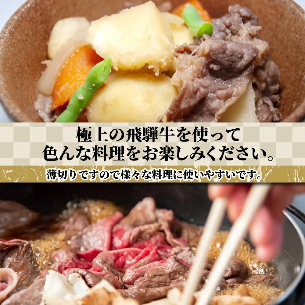【ふるなびWEEK対象】牛肉 飛騨牛 訳あり 切り落とし500g 牛肉 LR011