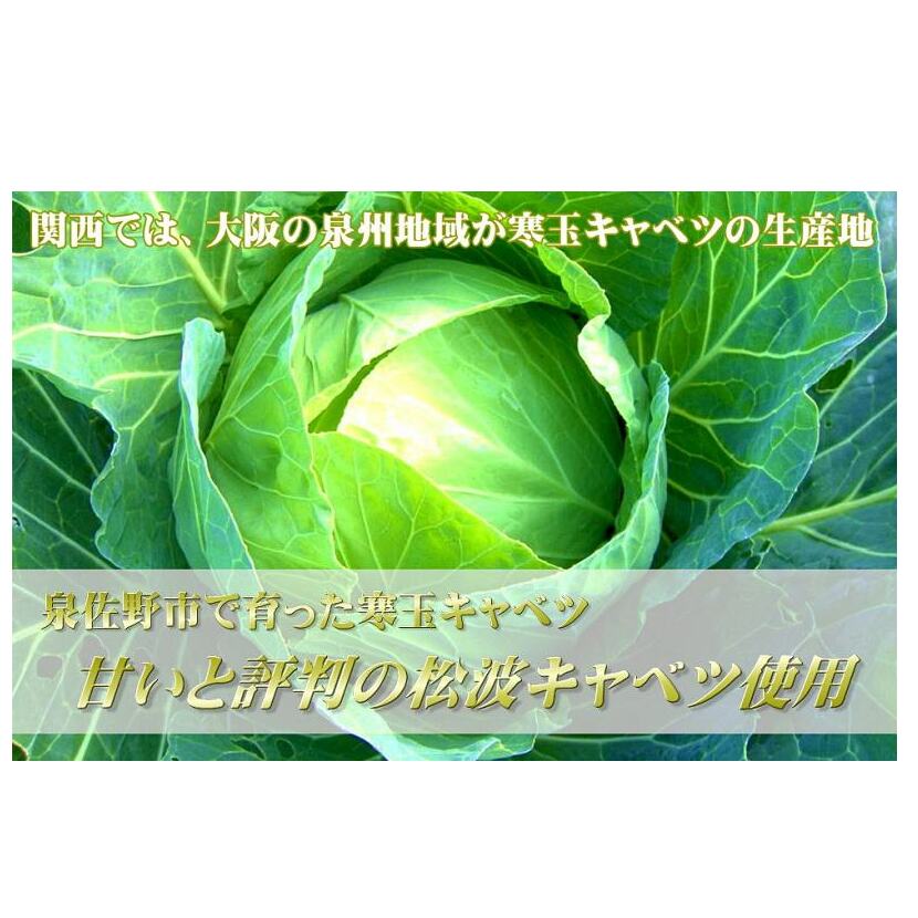 【期間限定】生餃子 50個セット【小分け 10パック 甘いと評判 松波キャベツ使用 冷凍餃子 焼くだけ 人気 惣菜】 010B1538_イメージ2