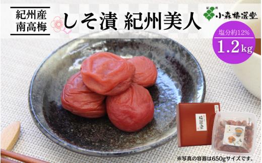 紀州南高梅 しそ漬紀州美人 （塩分約12％）1.2kg / 和歌山 梅干し 田辺市 紀州南高梅 南高梅 梅干 梅 うめ 肉厚 お米 おにぎり 焼酎 梅酒 健康 紫蘇 しそ入り しそ りんご酢 【kmr006-1】