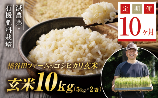 
《定期便10ヶ月》減農薬・有機肥料栽培 西会津産米コシヒカリ 玄米 10kg（5kg×2袋） 米 お米 おこめ ご飯 ごはん 福島県 西会津町 F4D-0417
