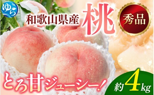 朝採れ 和歌山 桃　約4kg 秀品 ※2026年6月下旬～8月上旬頃順次発送予定 【tec911B】