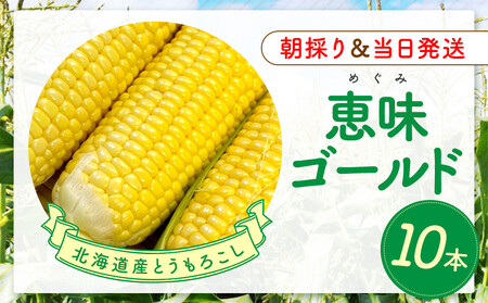 北海道産とうもろこし（恵味ゴールド10本）