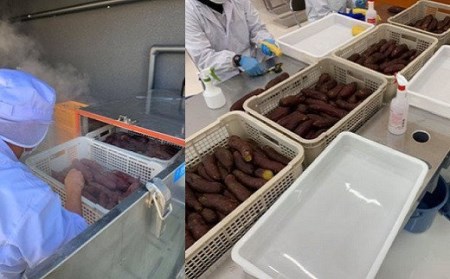 K1939 【期間限定】干し芋専門店「ほしいもの百貨」べにはるか産直切り落とし（200g×6袋）