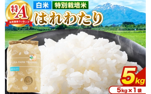 米【特別栽培米】はれわたり 白米 5kg（5kg×1袋）令和7年産 特A 青森県弘前市産 [米 はれわたり 特別栽培米 白米 精米 ブランド米 青森県 弘前市産]