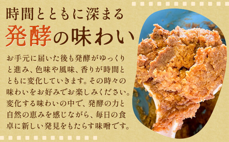 味噌 糀 みそ 糀味噌 450g (つぶタイプ) 川瀬糀店《30日以内に出荷予定(土日祝除く)》茨城県 河内町 送料無料 発酵食品 発酵 食品 味噌 糀 麹 みそ 味噌汁 みそ汁 お味噌 お取り寄せ