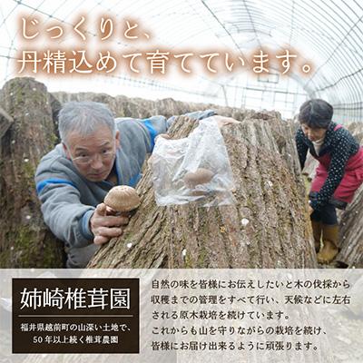 ふるさと納税 越前町 乾燥椎茸Bセット |  | 01