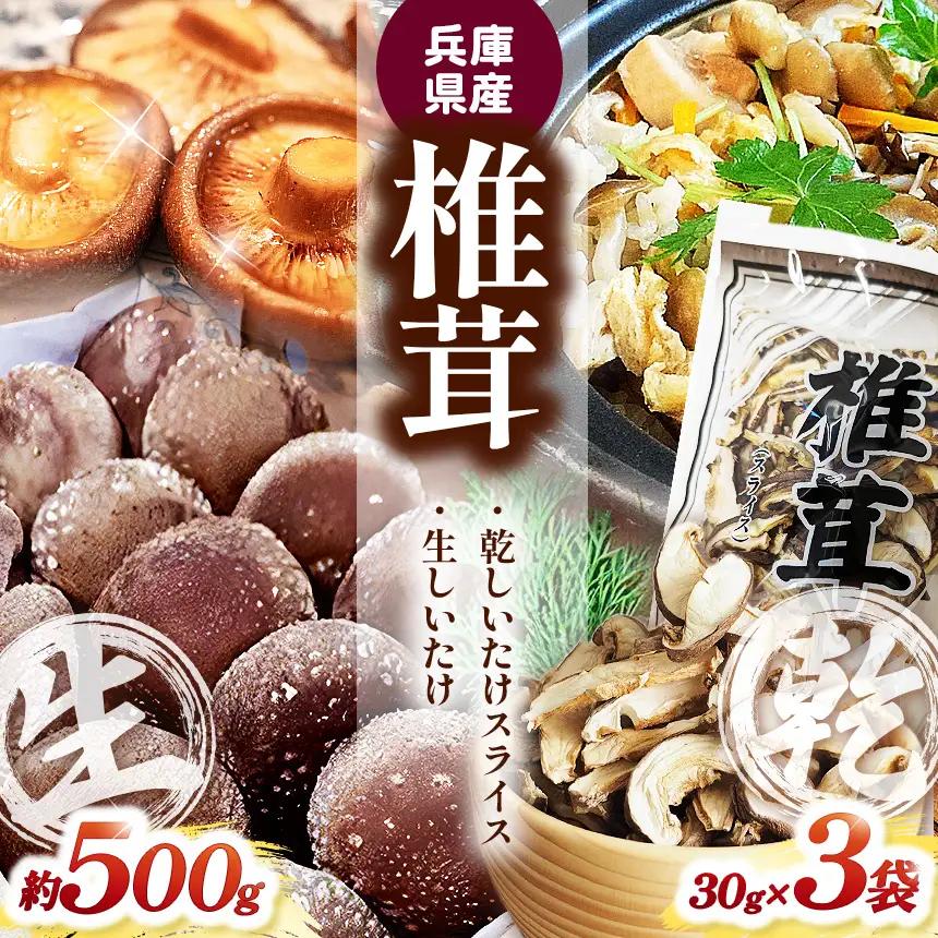 兵庫県産 生椎茸 「 しいたけ小町 」 約500g と 乾しいたけ （ スライス ） 3袋のセット | 生しいたけ しいたけ シイタケ 椎茸 乾椎茸 干しいたけ きのこ キノコ 野菜 山菜 セット 兵庫県 上郡町