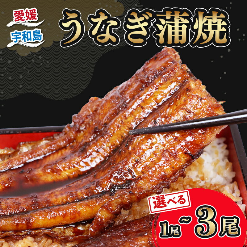 【ふるさと納税】 うなぎ国産 うなぎ蒲焼 選べる 内容量 1尾 ~ 3尾 約 170g ~ 540g タレ付き タレ 蜂蜜 入り 河野鮮魚店 手作り 高級 鰻 うなぎ ウナギ unagi 養殖 本格 鰻蒲焼 国産鰻 はちみつ 頭付き 蒲焼 蒲焼き うなぎの蒲焼 うな重 ひつまぶし 冷凍 国産 愛媛 宇和島