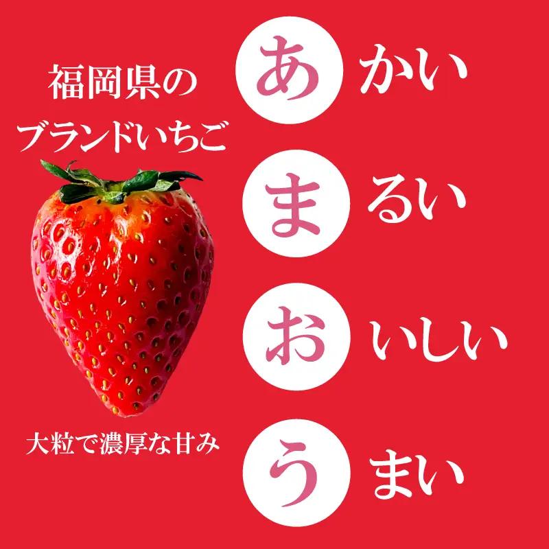 【2027年1月発送】 苺 あまおう 540g (270g×2P) いちご | あまおう OKI