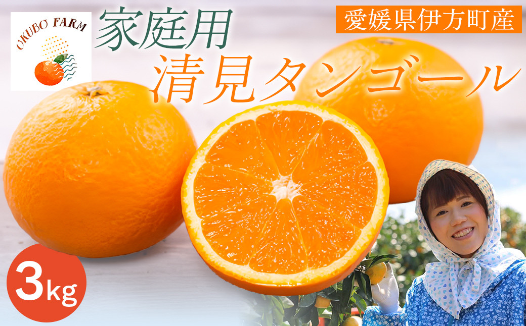 
            【先行予約】【家庭用】清見タンゴール 3kg ※北海道・沖縄・離島への配送不可（2026年3月中旬より順次発送）  【 ふるさと納税 人気 おすすめ ランキング 柑橘 みかん ミカン 清見タンゴール 清見 フルーツ 果物 OKUBO FARM 愛媛県産 家庭用 愛媛県 伊方町 送料無料 】 IKTAT005 
          