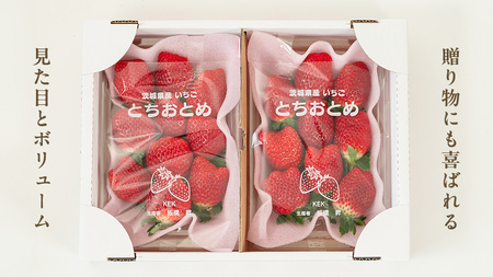 《 2027年 収穫分 》 完熟 とちおとめ 260g×4パック KEK 国産 いちご イチゴ 苺 くだもの 果物 フルーツ 冬 春 旬 [BC006sa]