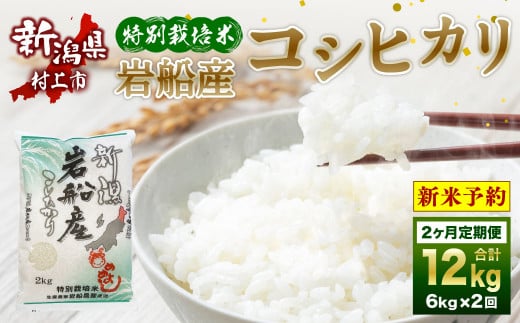 【新米受付・令和6年産米】NB4075 特別栽培米 新潟県岩船産コシヒカリ 12kg（6kg×2ヶ月コース） 定期便 毎月 新米予約 お米 白米 こしひかり 精米 村上市