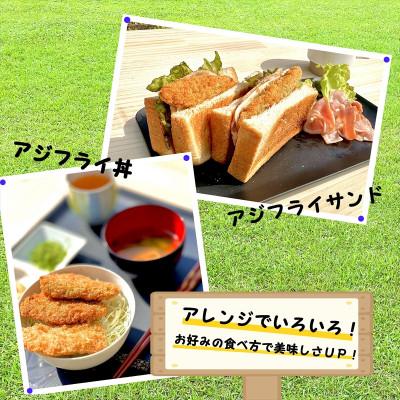 ふるさと納税 松浦市 【毎月定期便】「アジフライの聖地　松浦」真アジフライフィレ(14枚)×3P 全12回 |  | 02