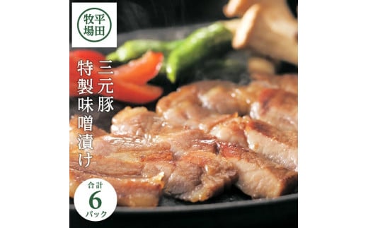 三元豚 特製味噌漬け 6パック 計672g 肩ロース 豚ロース ロース 豚肉 豚味噌漬け ブレンドみそ 味噌漬け 柔らかい 惣菜 おかず ブランド豚 簡単調理 冷蔵 贈り物 贈答 ギフト 平牧 平田牧場 山形 酒田 SA0545
