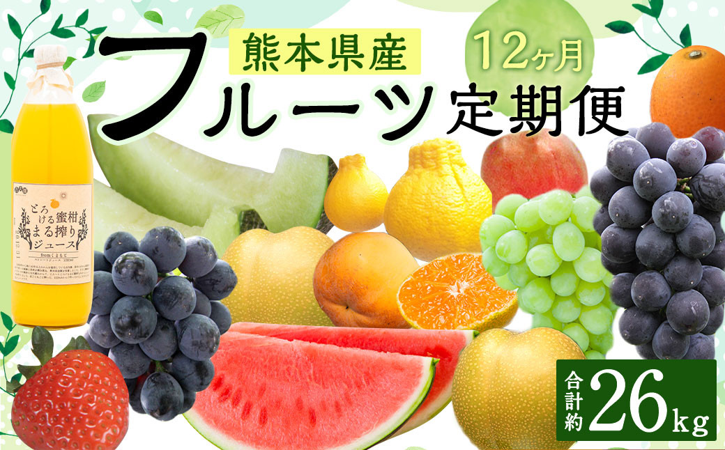 
熊本フルーツ 定期便12回 フルーツ 果物 メロン すいか 不知火 ギフト いちご きんかん 巨峰 みかん 大秋柿 贈答
