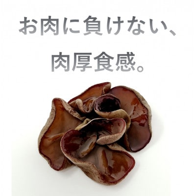 生きくらげ　300g×3セット　沖縄県北中城村産【配送不可地域：離島】