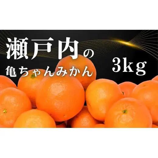 温州みかん 皮が薄い 甘み凝縮 約3kg 約30～35個 [先行予約 2026年11月中旬～発送] 瀬戸内 亀ちゃんみかん S～M玉 広島県 大崎上島町 国産 濃厚 果物 フルーツ ギフト 家庭用 送料無料 産地直送 亀田農園