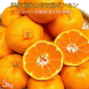 〈発送月固定定期便〉紀州和歌山産旬の柑橘セット(みかん・ポンカン・清見・なつみ)全4回　※北海道・沖縄・離島への配送不可