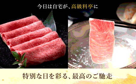 極上松阪牛定期便 贅沢コース【定期便9か月】( ヒレ シャトーブリアン サーロイン 赤身 すき焼き しゃぶしゃぶ ステーキ ハンバーグ ） 【30-24】30-24