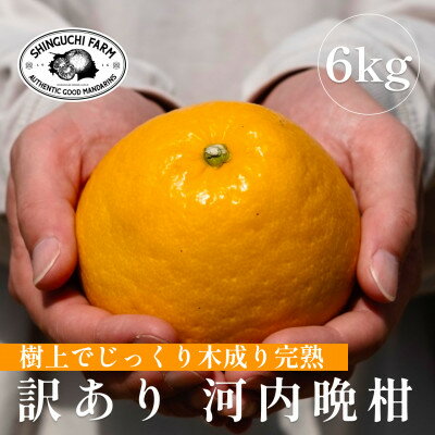 【ふるさと納税】【老舗農家が見極めた】訳あり 河内晩柑 6kg 愛媛フルーツ旬の柑橘【C70-83】【1625557】