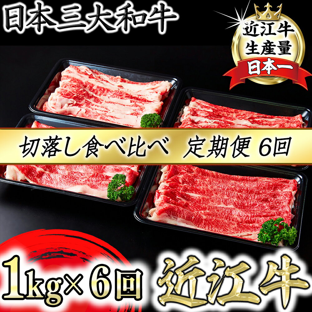 【ふるさと納税】【定期便】全6回　A5 近江牛切り落とし食べ比べ 　250g×4p