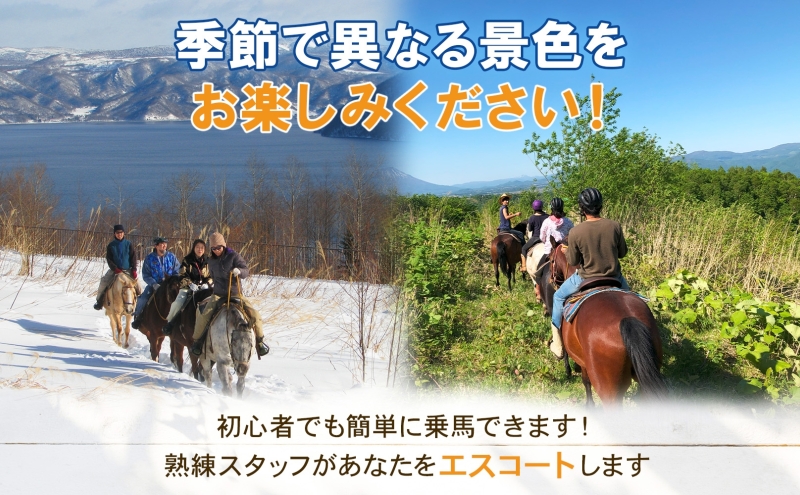 北海道 ファミリートレッキング＆Winterファミリートレッキング 乗馬 体験 約35分 ホース トレッキング 絶景 自然 貴重 体験 経験 景色 ふれあい 血統馬 初心者 本格的 お子様 大人 レイ