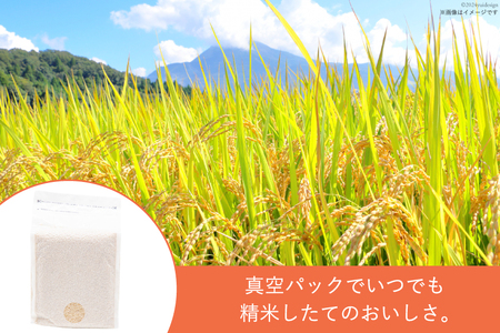 一分づき 玄米 2kg 【真空包装】