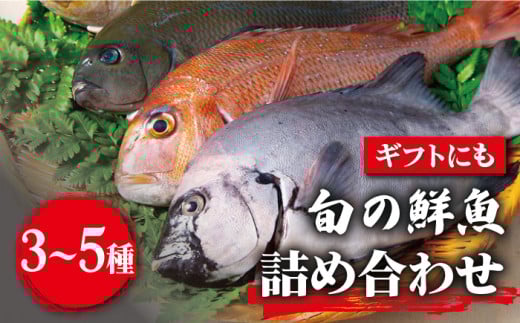 【朝どれピチピチの鮮魚をお届け！】旬の鮮魚 詰め合わせ セット 3～5種類 鮮魚 鮮魚BOX 詰め合わせ 詰合せ せんぎょ 冷蔵 刺身 魚 海鮮 直送 さかな 新鮮人気 おすすめ【松園水産】 [RBO011]