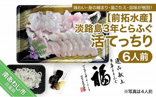 【冷蔵配送】前拓水産の淡路島3年とらふぐ（活てっちり6人前）◆配送期間10月25日～3月31日